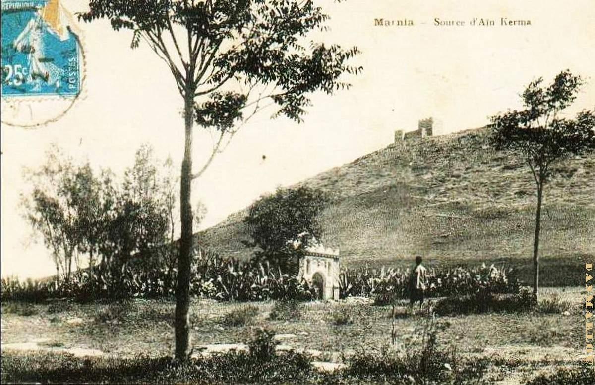 Marnia 38.jpg